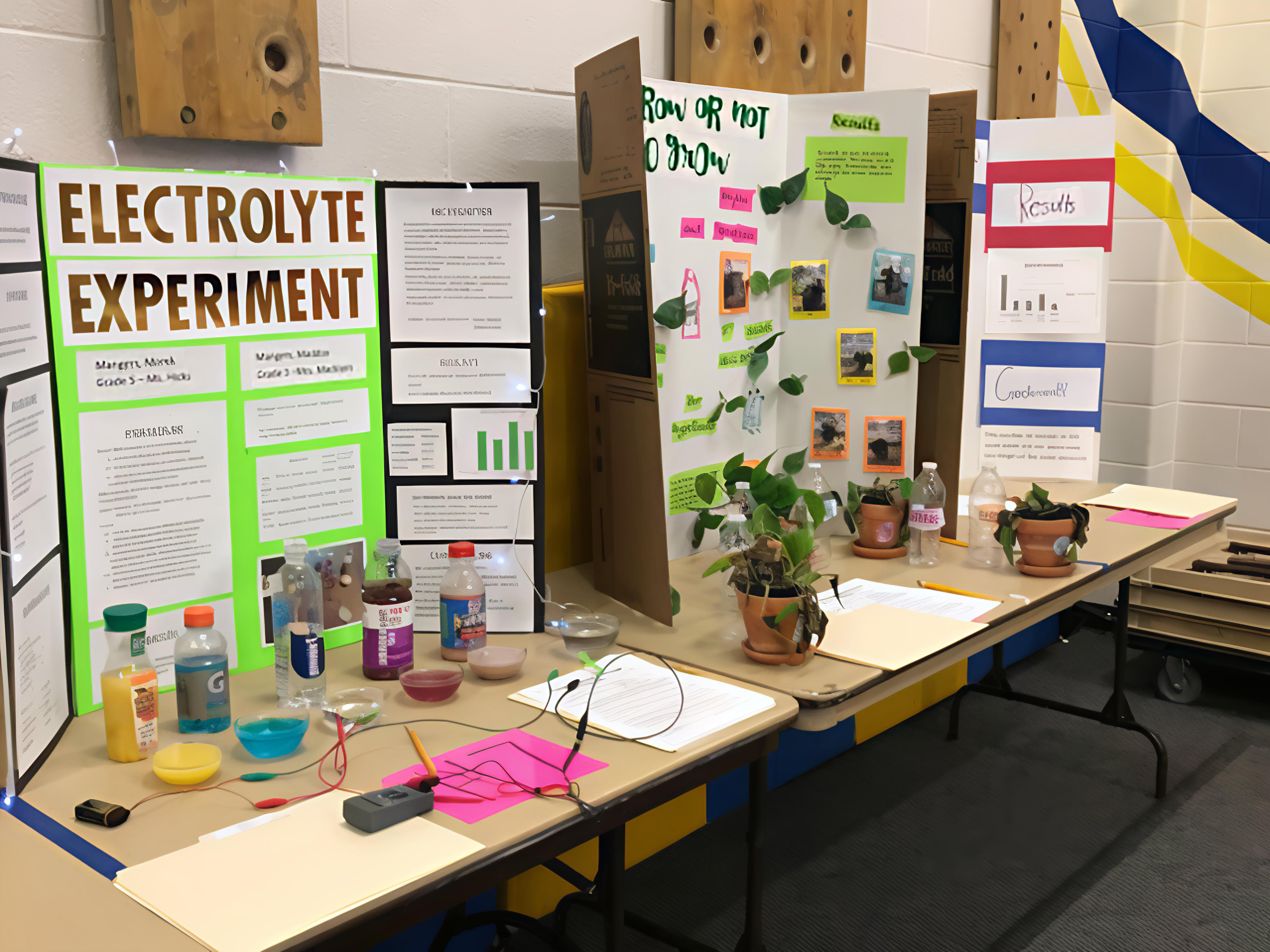 Science Fair